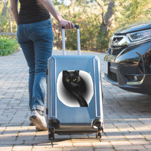 Nails zum Filtern von schwarzen Katzen Aufkleber