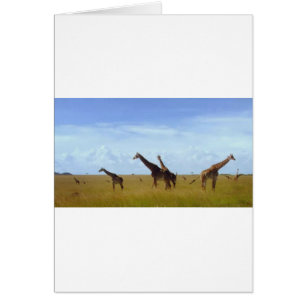 Nairobi-Nationalpark Giraffen