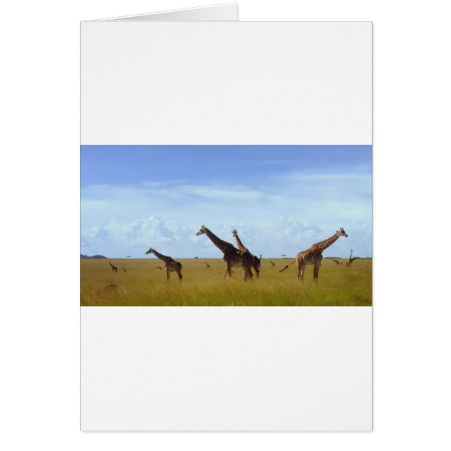 Nairobi-Nationalpark Giraffen (Vorne)