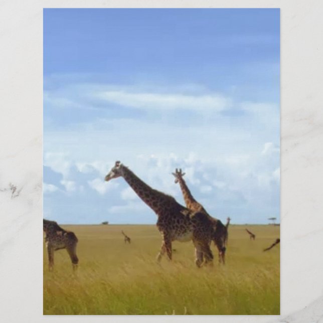 Nairobi-Nationalpark Giraffen (Vorderseite)