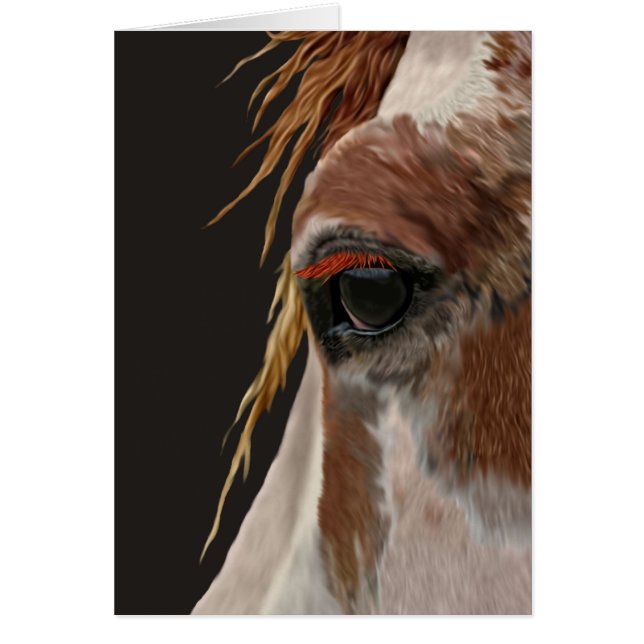 Nakota Horse (Vorne)