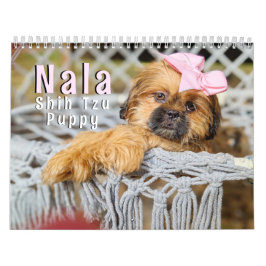 Nala Shih Tzu Süßestes Hündchen Kalender