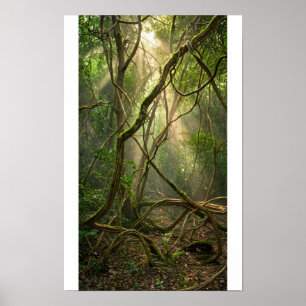 Namal Uyana Mystischer Wald Golfbälle - Eisenholz Poster