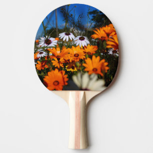 Namaqualand-Blume Tischtennis Schläger