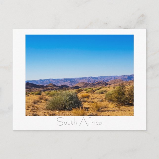 Namaqualand Nature View Südafrika SA Postkarte (Vorderseite)