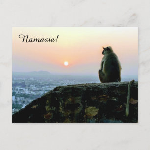 Namaste Mediation Yoga Monkey in Indien bei Sunset Postkarte