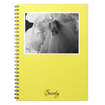 Name Daffodic Black and White Fotografy