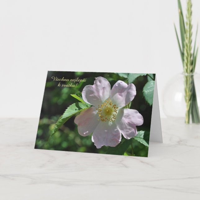 Name Day card in Tschechisch Karte (Vorderseite)