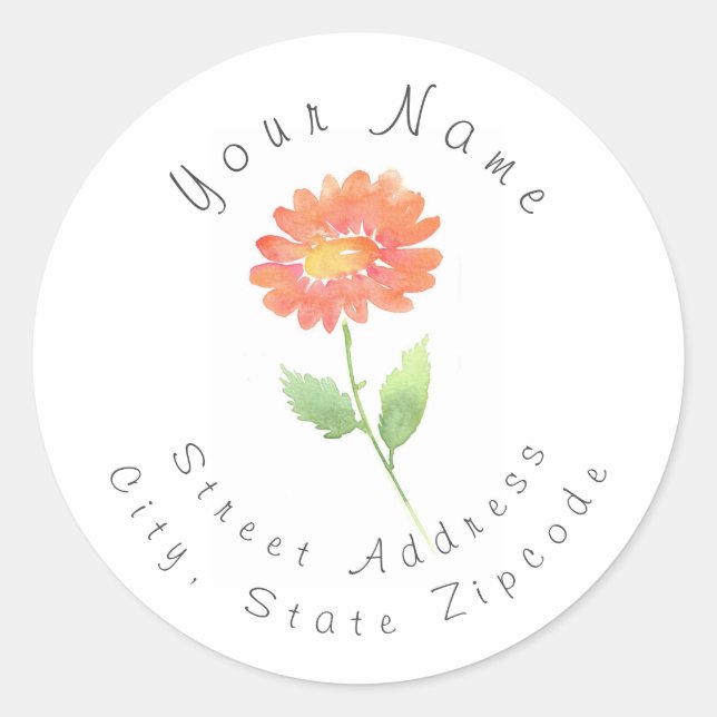 Name der Blume Peach Watercolor Daisy Runder Aufkleber (Vorderseite)