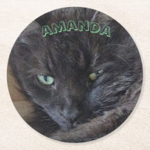 Name der schwarzen Katze