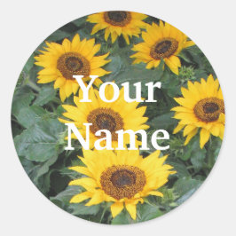 Name der Sonnenblume Runder Aufkleber