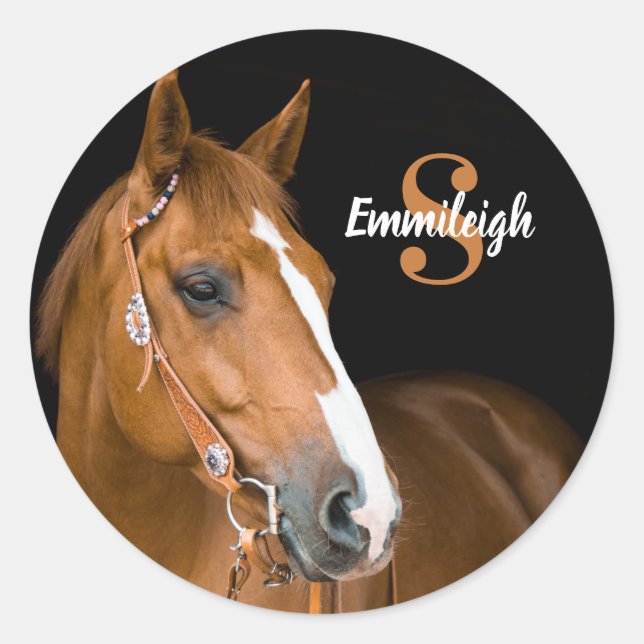 Name des braunen Quarters Horse Black Monogram Runder Aufkleber (Vorderseite)