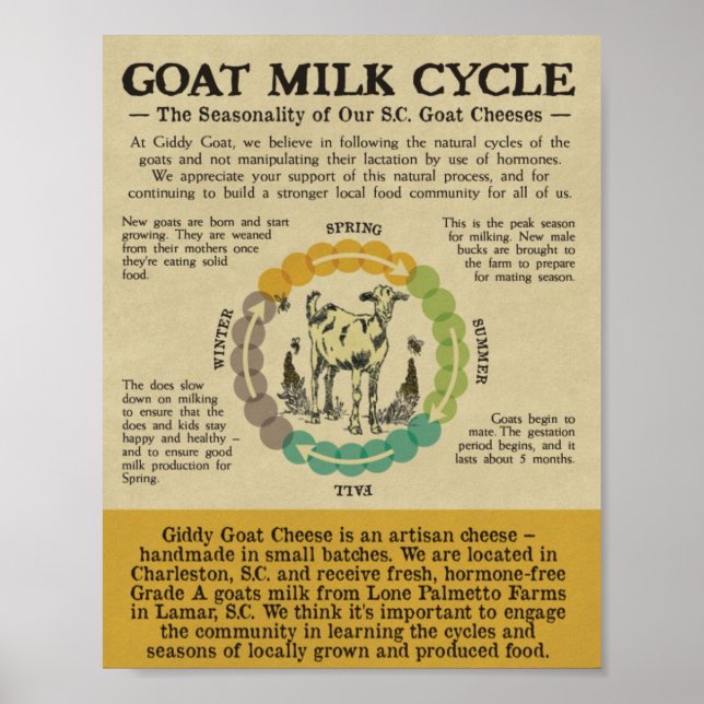 Name des Drucks Poster (Vorne)