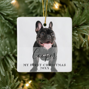 Name des ersten Weihnachts-Tier-Fotos 2 Skripts Keramikornament