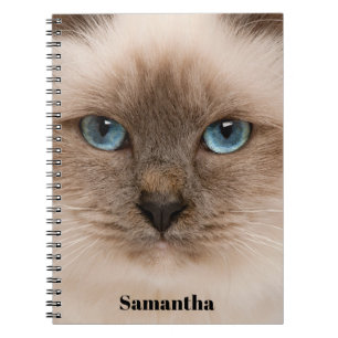 Name des Fotos der Katze Notizblock