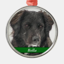 Name des Fotos des schwarzen Labradors