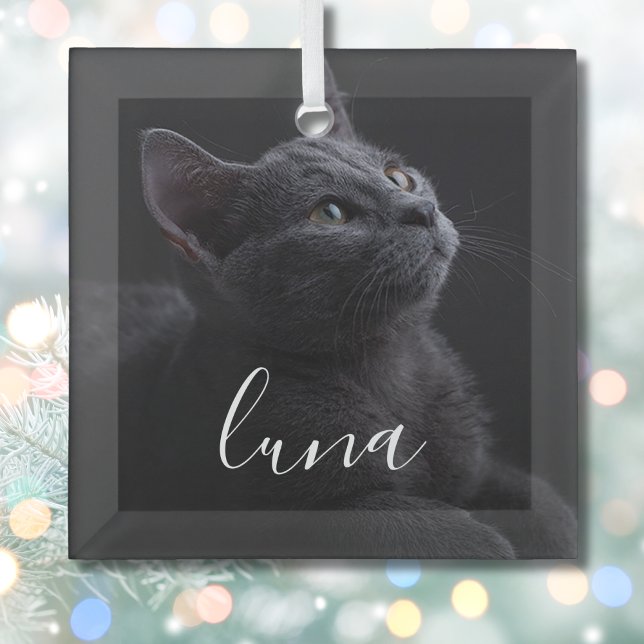 Name des Fotos Ornament Aus Glas (Pet Cat Ornament)