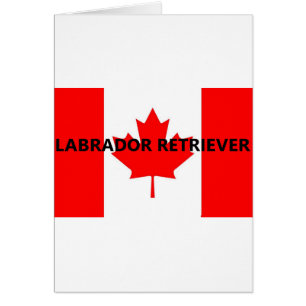 Name des Labradors Kanadische Flagge