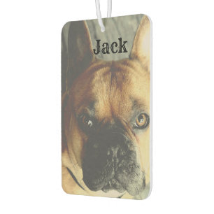 Name des personalisierten Fotos Niedlicher Hund Ha Autolufterfrischer