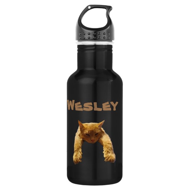 Name des Wesley mit Lazy Cat, Wasserflasche (Vorderseite)