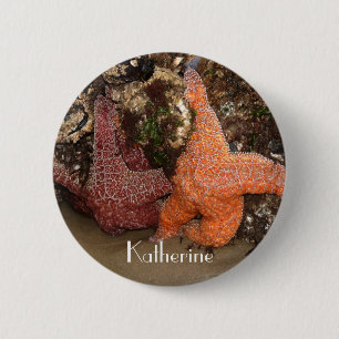 Name hinzufügen: Farbige Starfish/Sea Star Foto 3 Button