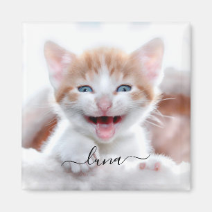 Name Ihres Haustierkatzenfotos mit Schwüngen Magnet