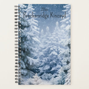 Name, Jahr, Name des Whimsistischen Winterwaldes Planer