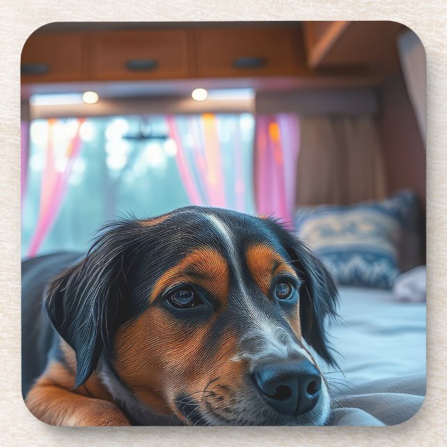 Name: Träumender Hund Getränkeuntersetzer (Vorderseite)