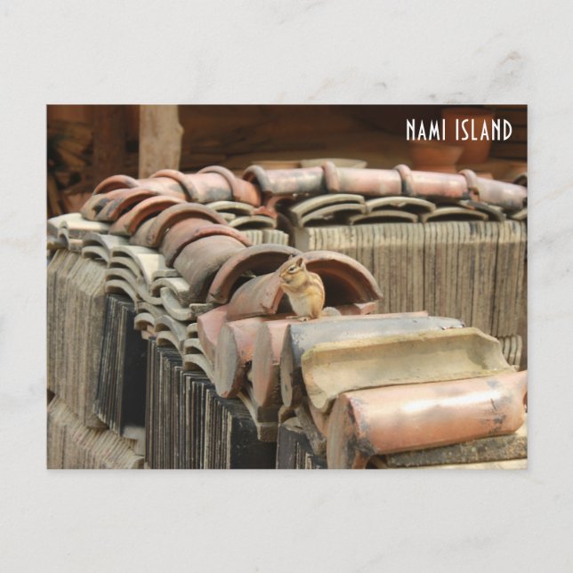 Nami Island Postkarte (Vorderseite)