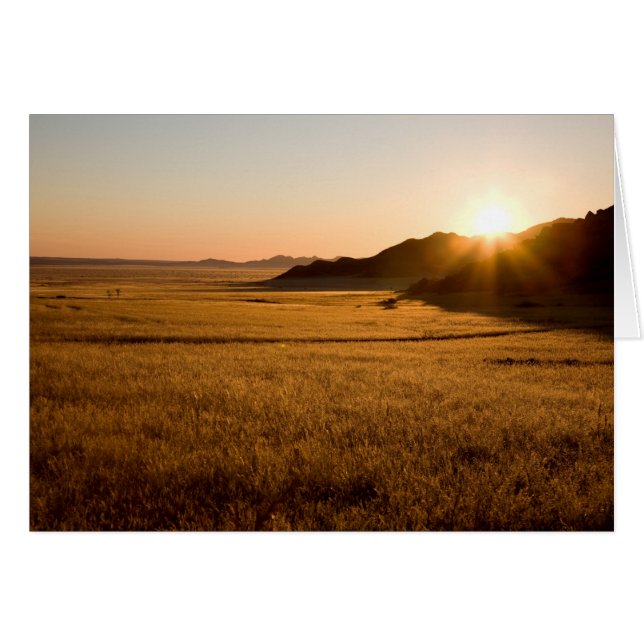 Namib Naukluft Park (Vorderseite (Horizontal))