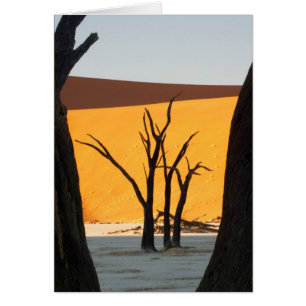 Namib-Naukluft Park, Sossusvlei  Totes Vlei