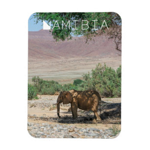 Namibia Africa Huab River Elephant Damaraland Magnet