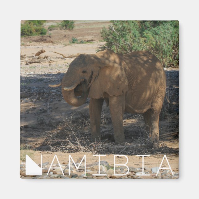 Namibia Africa Huab River Elephant Damaraland Magnet (Vorne)