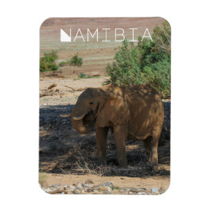 Namibia Africa Huab River Elephant Damaraland Magnet