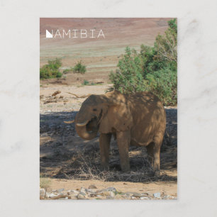 Namibia Africa Huab River Elephant Damaraland Postkarte
