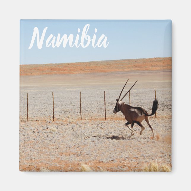 Namibia Africa Landscape Namibian Desert Oryx Magnet (Vorne)