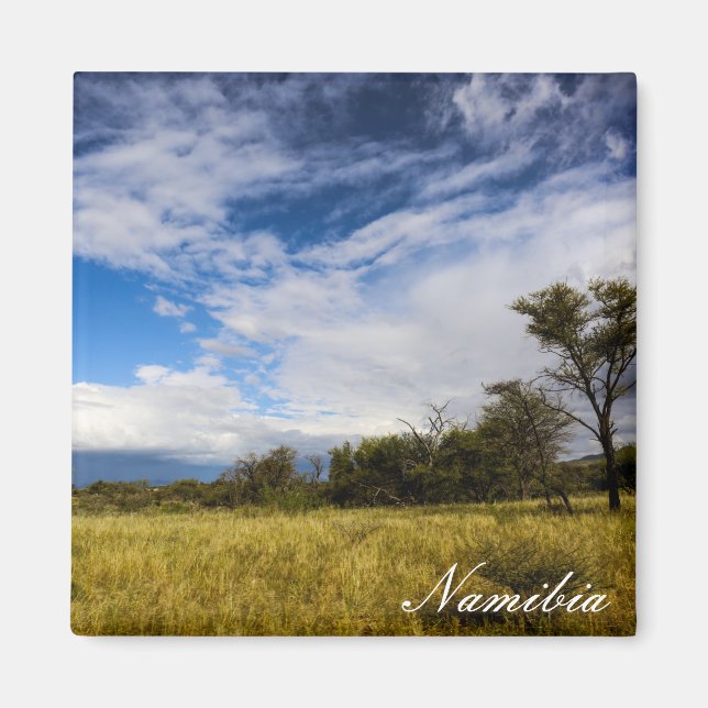 Namibia Africa Landscape Namibian Nature Bushveld Magnet (Vorne)