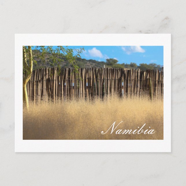 Namibia Afrika Namibia Landschaftsgras Postkarte (Vorderseite)