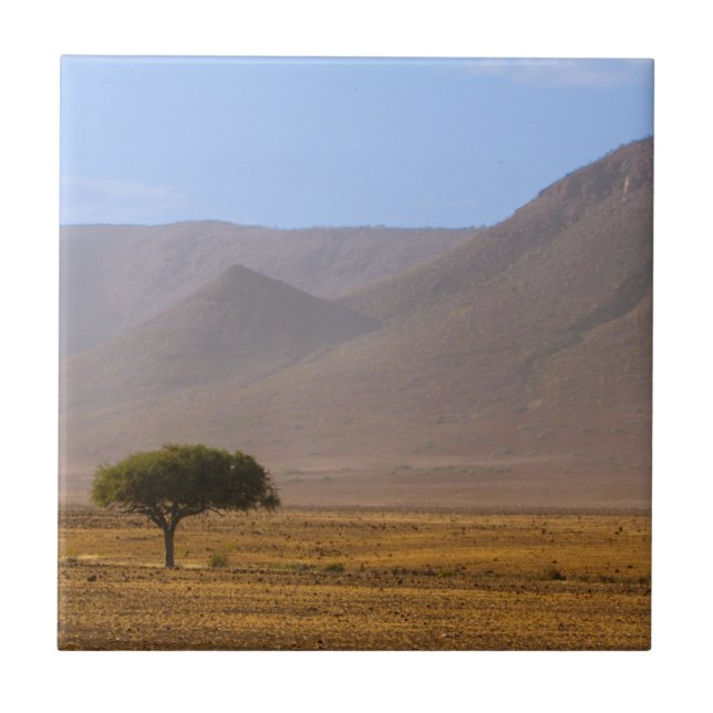 Namibia Afrika Wüstenlandschaft Landschaft Natur Fliese (Vorderseite)