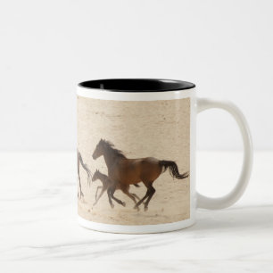 Namibia, Aus. Gruppe von wild laufenden Pferden au Zweifarbige Tasse
