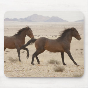 Namibia, Aus. Wilde Pferde laufen auf der Namib Mousepad