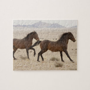 Namibia, Aus. Wilde Pferde laufen auf der Namib Puzzle