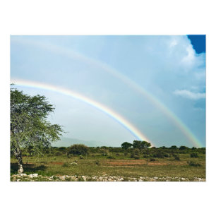 Namibia Double Rainbow Fotodruck