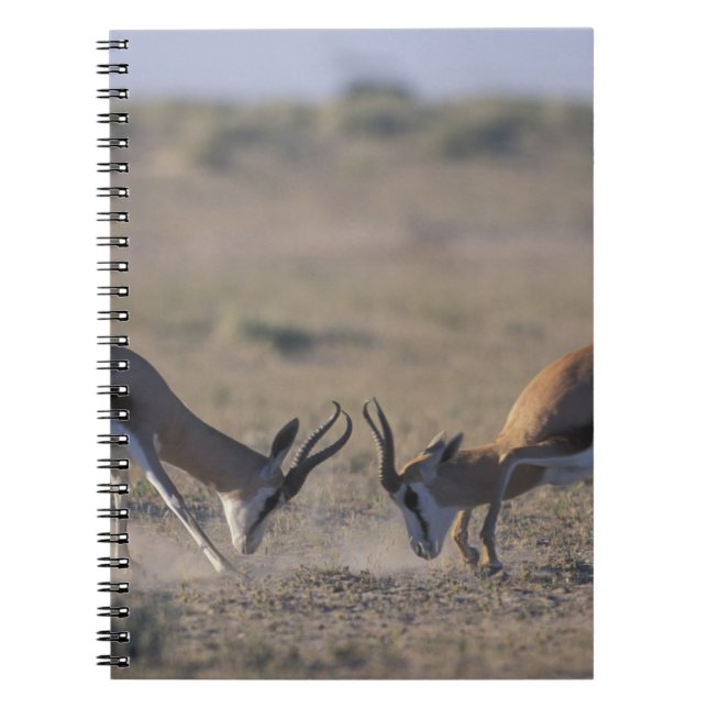 Namibia, Etosha National Park, zwei Männer Notizblock (Vorderseite)