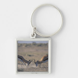 Namibia, Etosha National Park, zwei Männer Schlüsselanhänger