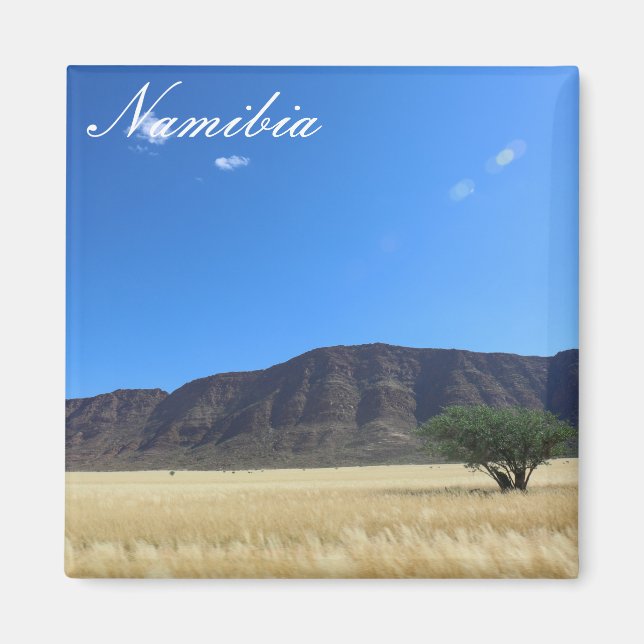Namibia MarienŌ Savannah Landschaft Magnet (Vorne)