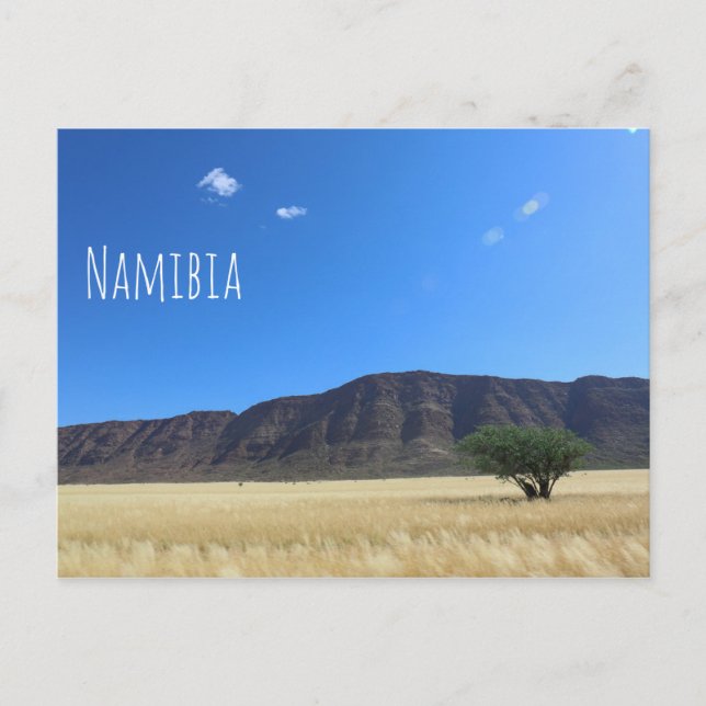 Namibia MarienŌ Savannah Landschaft Postkarte (Vorderseite)
