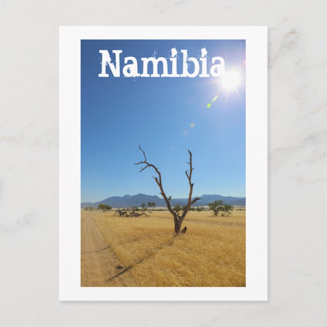 Namibia MarienŌ Savannah Landschaft Postkarte (Vorderseite)