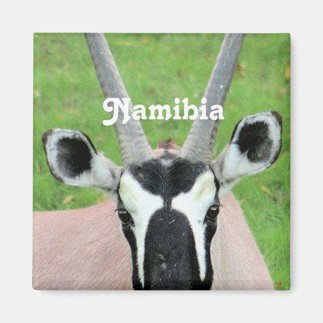 Namibia Oryx Magnet (Vorne)