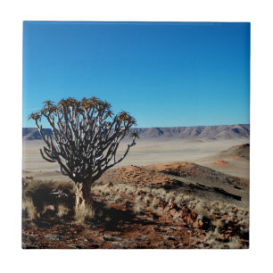 Namibia Tirool Namib Wüste Landschaft Kokerboom Fliese